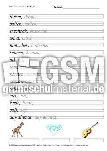 DSS_2S_FW_100_NR_62.pdf